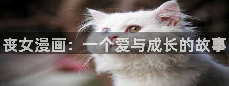 哔咔漫画如何注册