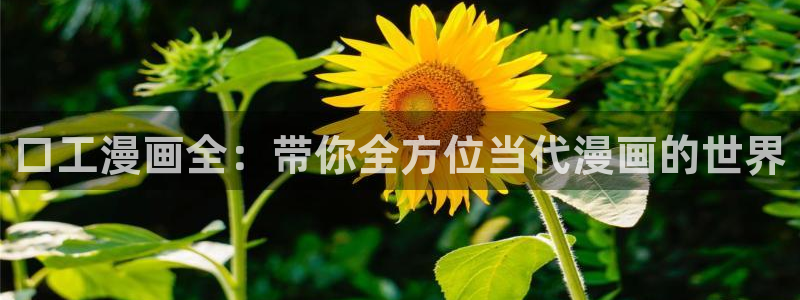 哔咔漫画app免费下载