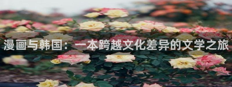 哔咔漫画分享