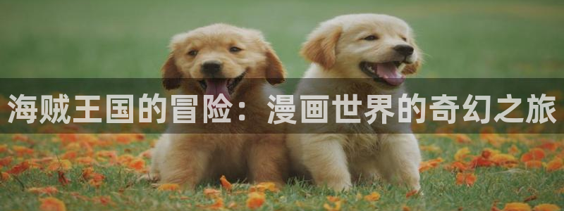 哔咔漫画的官网网址