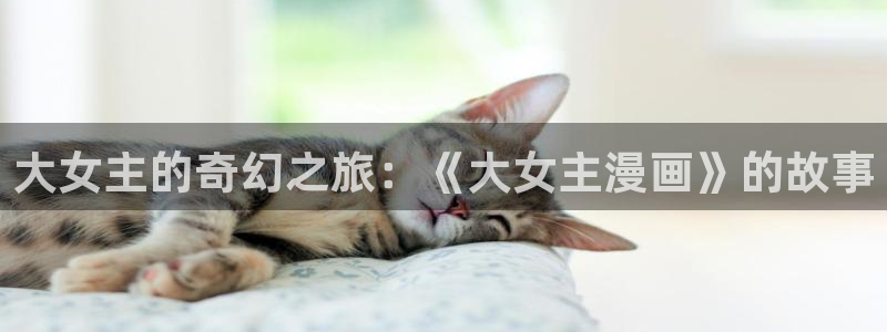 像哔咔哔咔漫画一样的软件
