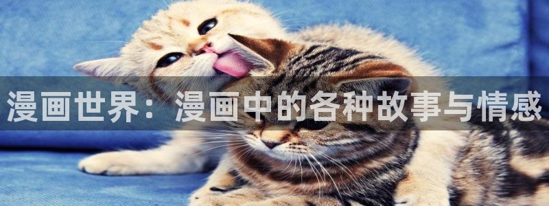 哔咔漫画电脑版